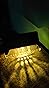 Neo Elect Solar Fence Light